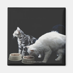 Imán Gatos con tazón de comida
