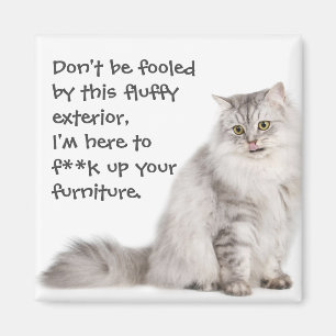 Imán Gatos de Badass