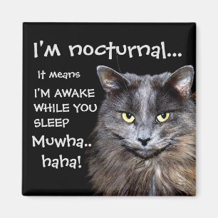 Imán Gatos de Badass - "Soy nocturno..."