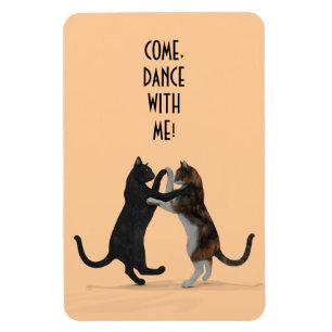 Imán Gatos de baile dulce