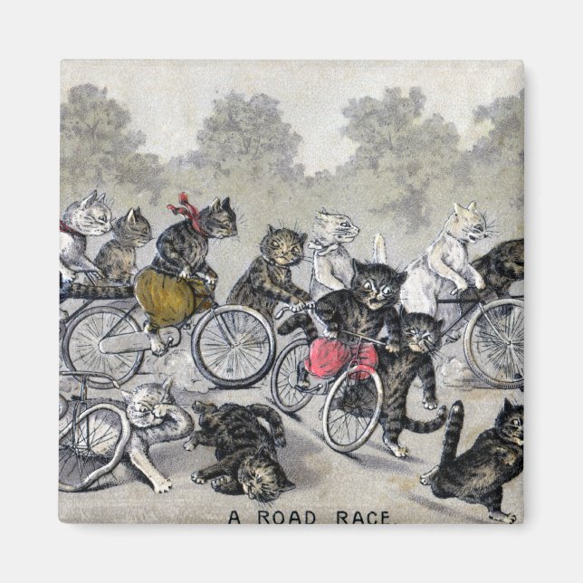 Imán Gatos De Bicicleta (Frente)