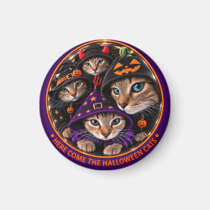 Imán Gatos de Halloween con sombreros de bruja