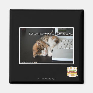 Imán Gatos de Lol con USB
