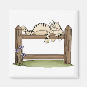 Imán Gatos del gatito · Gatito en la cerca