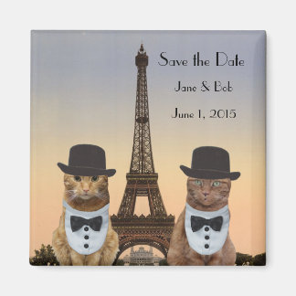 Imán Gatos divertidos salvan la fecha Boda de París II
