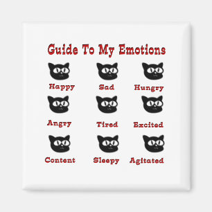 Imán Gatos: Guía a mis emociones