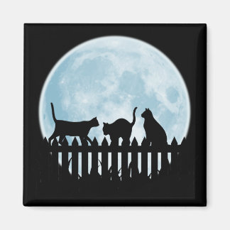 Imán Gatos negros y luna azul