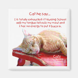 Imán Gatos para estudiantes de Enfermería - Agotados
