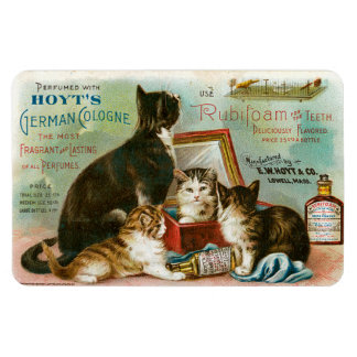 Imán Gatos para Hoyt