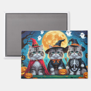 Imán Gatos persas Calabaza Halloween Funny