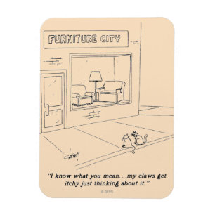 Imán Gatos que agarran los muebles