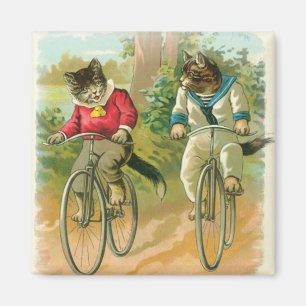 Imán Gatos que montan las bicis