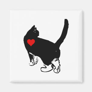 Imán Gatos que muestran amor