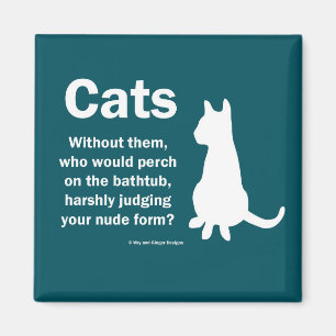 Imán Gatos y bañeras