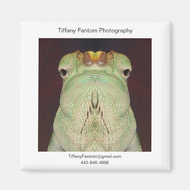 Imán Gatsu Promo (Frente)