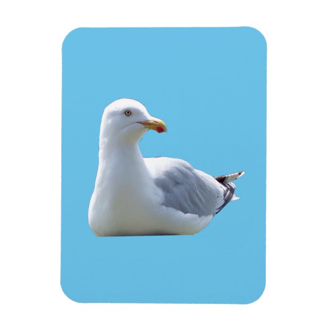 Imán Gaviota Adorable Descansando Tranquilo Cielo Azul  (Vertical)