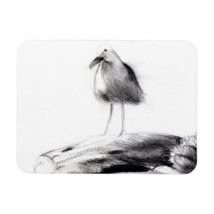 Imán Gaviota de California 2012