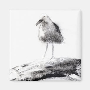 Imán Gaviota de California 2012