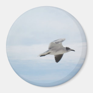 Imán Gaviota del vuelo