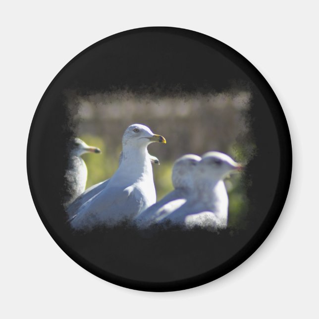Imán Gaviota en un tren (Frente)