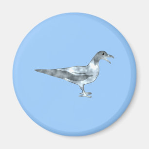 Imán Gaviota seagull