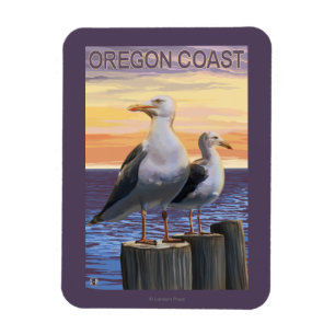 Imán Gaviotas de la costa de Oregon