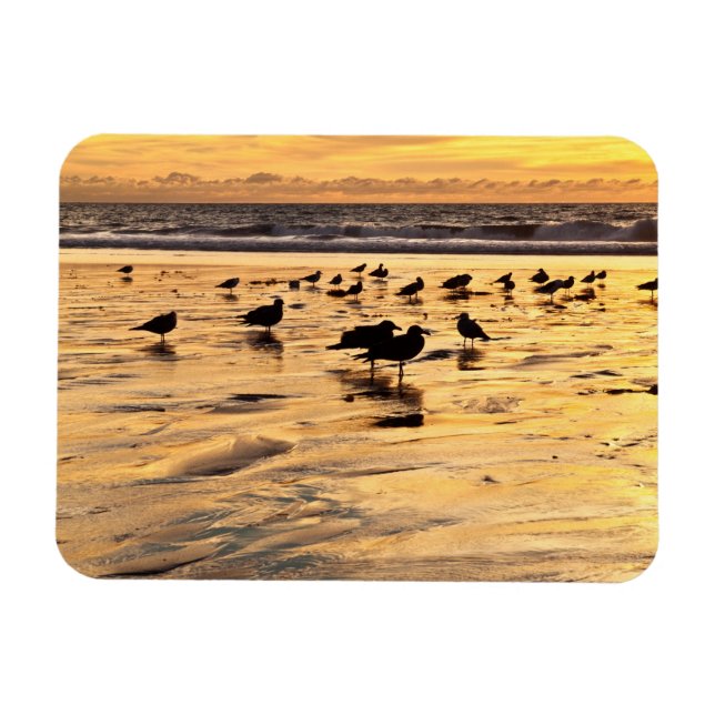 Imán Gaviotas en la playa al atardecer (Horizontal)