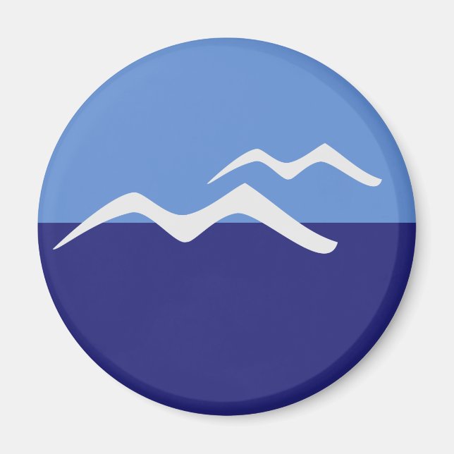 Imán Gaviotas / Estándar, Magnet Redondo De 5,7 Cm (Frente)