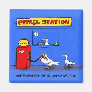 Imán Gaviotas marinas divertidas petrel humor personali