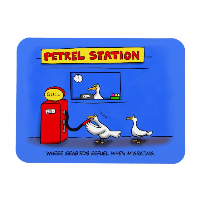 Imán Gaviotas marinas divertidas petrel humor personali (Horizontal)