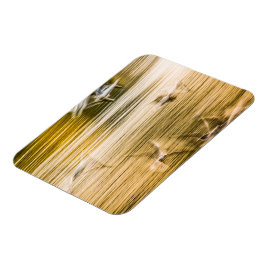 Imán Gaviotas voladoras - abstractas