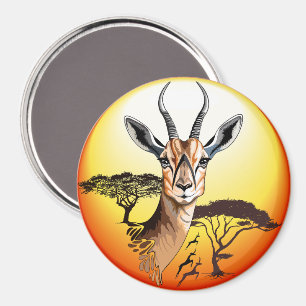 Imán Gazelle Animal salvaje Antelope africano