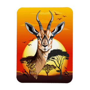 Imán Gazelle Animal salvaje Antelope africano