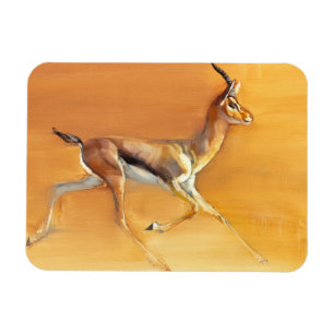 Imán Gazelle árabe 2010