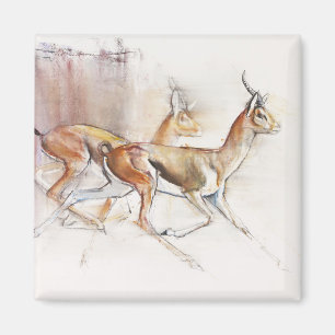 Imán Gazelles árabes corrientes 2010