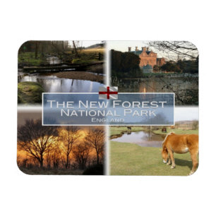 Imán GB Reino Unido - Inglaterra - The New Forest N.P -