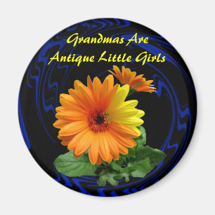 IMÁN GEBER DAISY -MAGNET