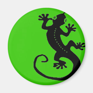 Imán Gecko 1