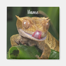 Imán Gecko Lizard personalizado
