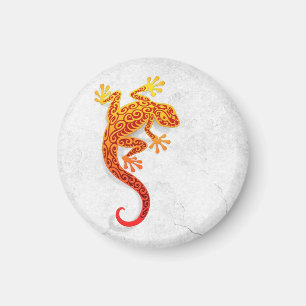 Imán Gecko rojo que sube en una pared blanca
