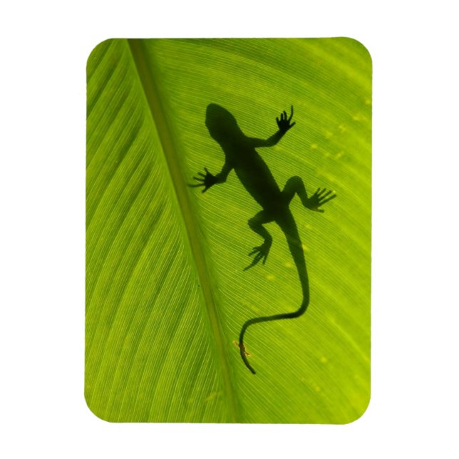 Imán Gecko Silhouette (Vertical)