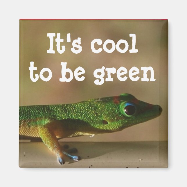 Imán Gecko verde de Guay (Frente)