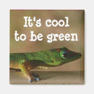 Imán Gecko verde fresco