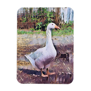 IMÁN GEESE