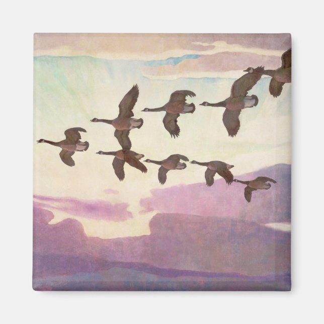 Imán Geese canadiense en primavera por Newell Convers W (Frente)