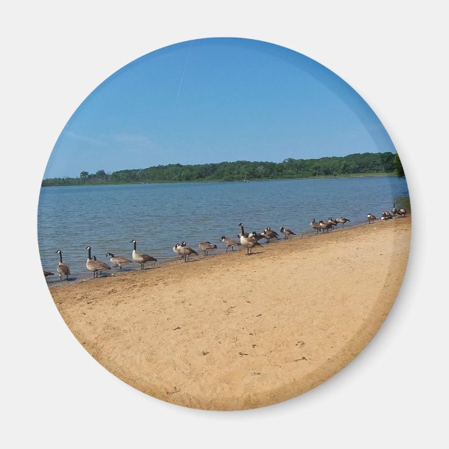 Imán Geese en el lago Silver, Wisconsin (Frente)