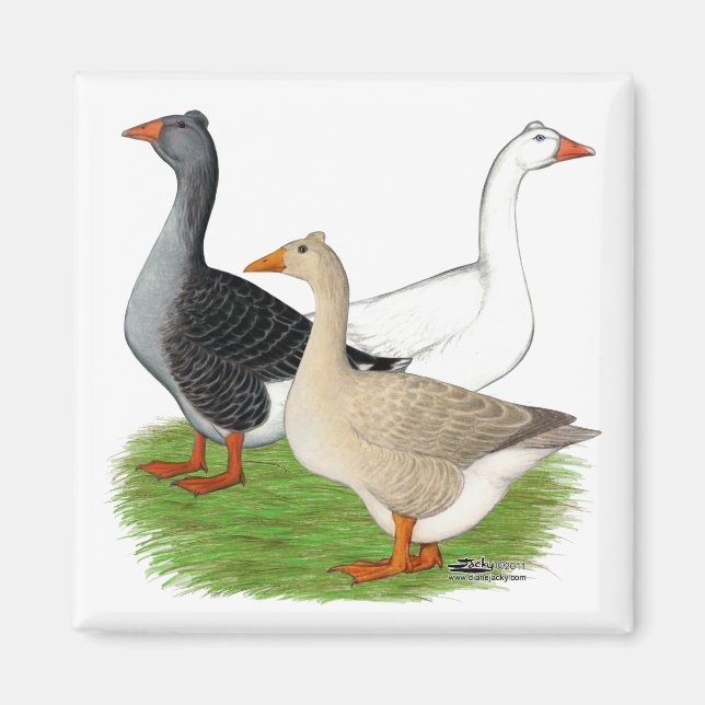 Imán Geese: Trio desquiciado (Frente)