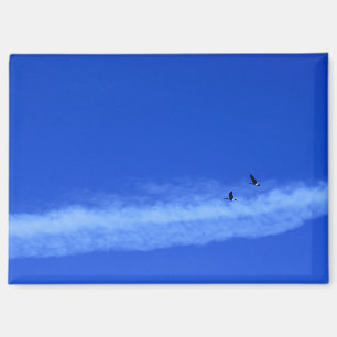 Imán Geese Volador