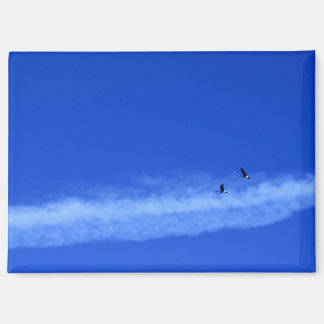 Imán Geese Volador