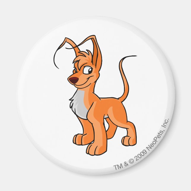 Imán Gelert Naranja (Frente)